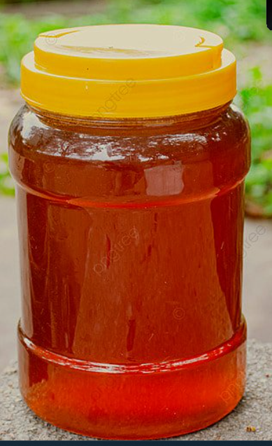 Madu Hutan